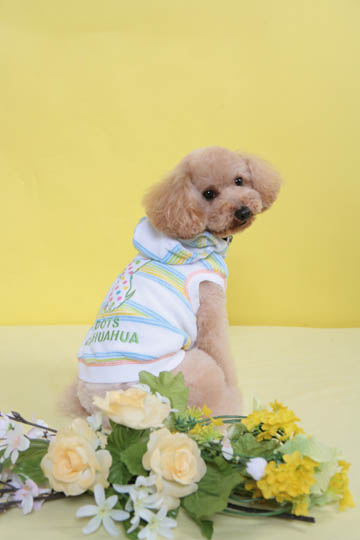 IMG0314_2901