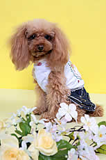 IMG0314_5101-2