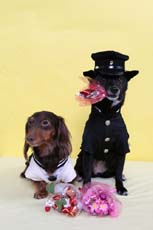 IMG0314_5401