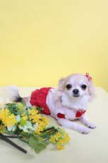 IMG0314_5801