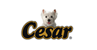 Cesar